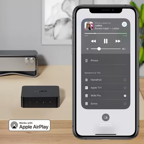 WiiM Pro Plus Wifi/ethernet/AUX/BT zenelejátszó, webrádió